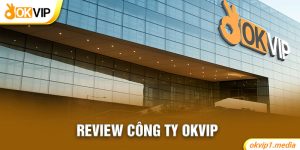 review công ty okvip
